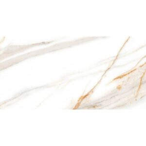 ARDENZA BRILLO 30x60