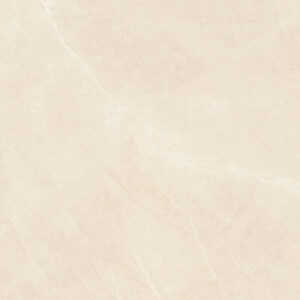 Elegant Beige 60x60
