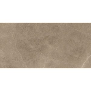 Elegant Taupe 30x60