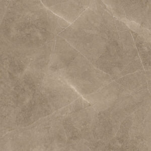 Elegant Taupe 60x60
