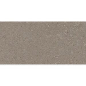 Natural Taupe 30x60