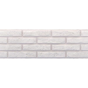 Ascot Blanco 20x60a