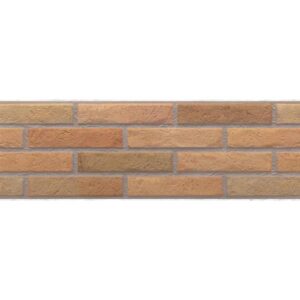Ascot Fuego 20x60a