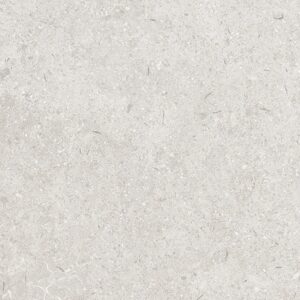 LEIRIA GREIGE mate 59,5x59,5